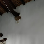 Photo n°1 de l'avis de Anja.u fait le 19/03/2024 à 21:20 sur le  Albergo Antico Borgo à Galtellì