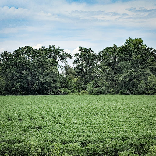 Wedding Venue «Ashton Hill Farm», reviews and photos, 803 Vernon Valley Dr, Cedar Rapids, IA 52403, USA