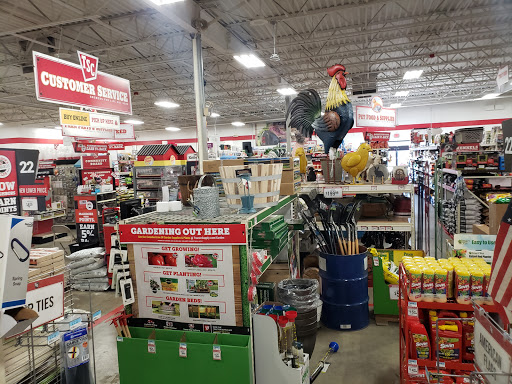 Home Improvement Store «Tractor Supply Co.», reviews and photos, 67 Palomba Dr, Enfield, CT 06082, USA