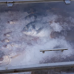 Photo n°2 de l'avis de Laurent.a fait le 26/06/2018 à 21:02 sur le  Casa Corvo à Fuseta