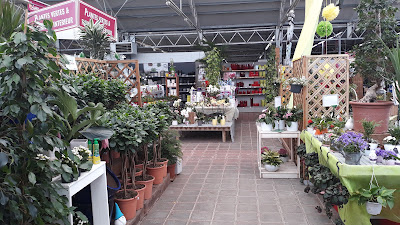 JARDINERIE GRAND CAP à Agde