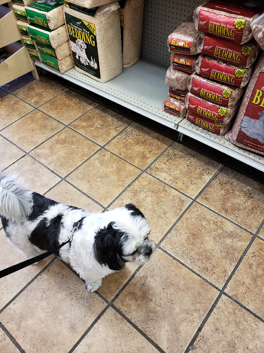 Pet Store «Petland Discounts - LI City», reviews and photos, 34-60 48th Ave, Queens, NY 11101, USA