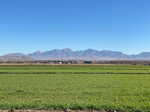 Vineyard «Rio Grande Vineyard & Winery», reviews and photos, 5321 NM-28, Las Cruces, NM 88005, USA