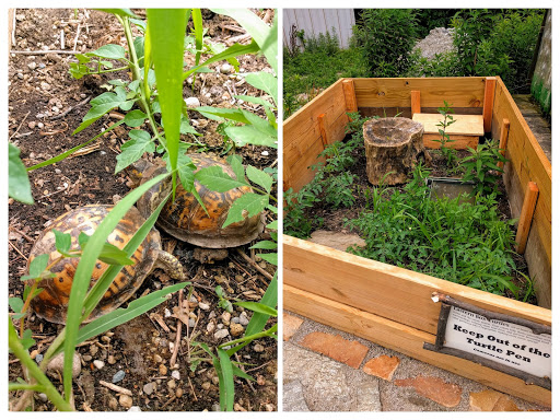 Nature Preserve «W w Knight Nature Preserve», reviews and photos, 29530 White Rd, Perrysburg, OH 43551, USA