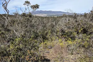 Kaulana Manu Nature Trail image