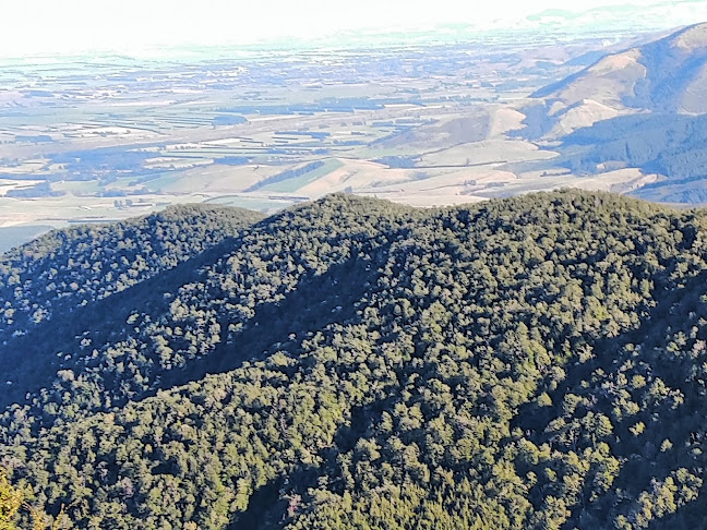 Mount Thomas Forest Conservation Area - Other