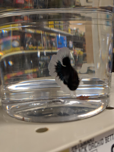 Pet Supply Store «PetSmart», reviews and photos, 160 Washington St #701, Rochester, NH 03839, USA