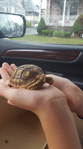 Pet World, 101 Green St, Sunbury, PA 17801, USA, 