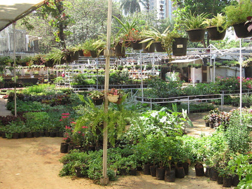 Urban Garden Center