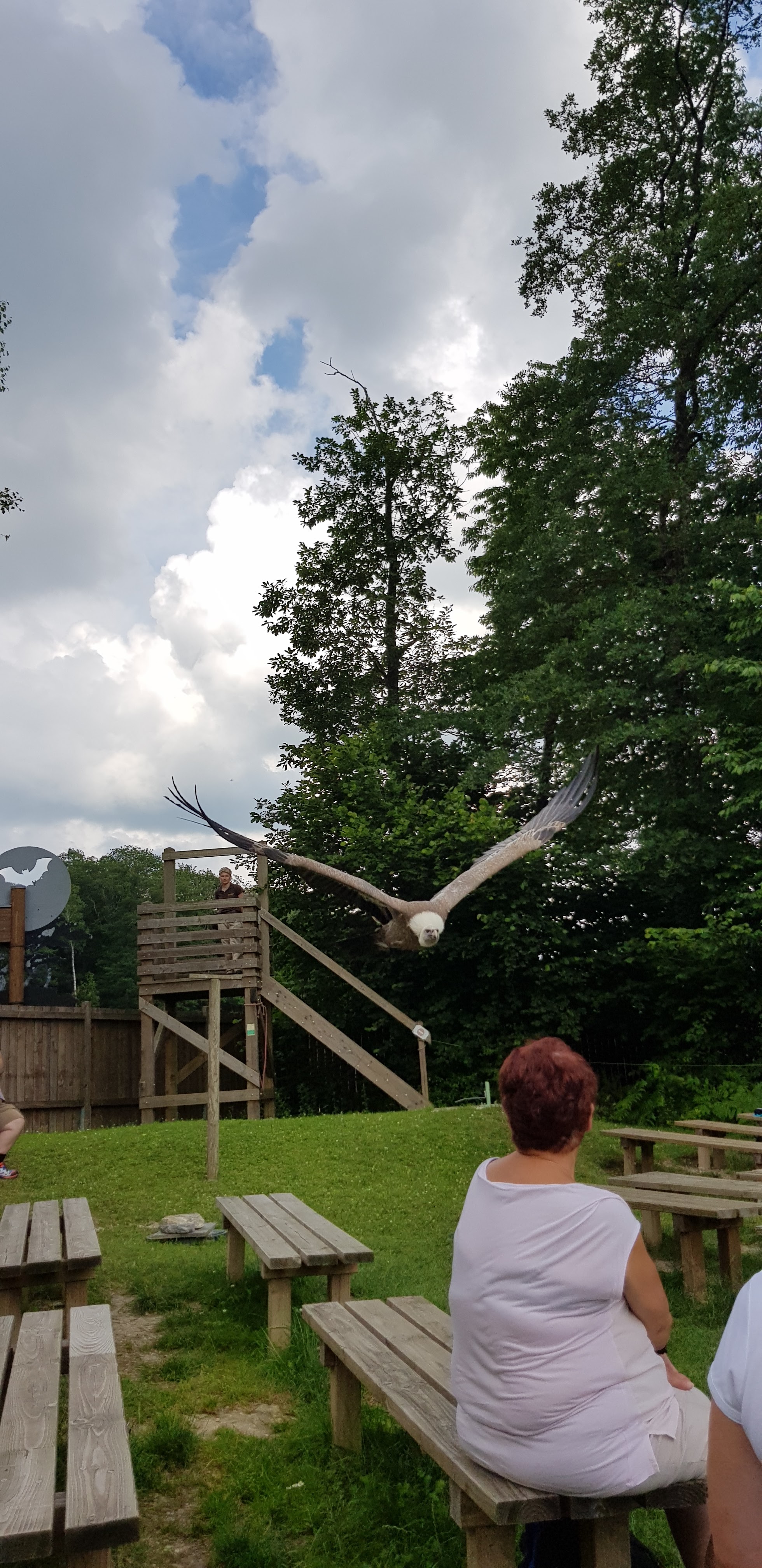 Photo n° 3 de l'avis de Mathilde.o fait le 16/07/2018 à 04:55