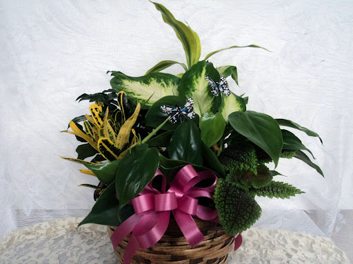 Florist «Davis Florist», reviews and photos, 4201 Locust Ln, Harrisburg, PA 17109, USA