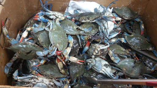 Grocery Store «Kim Thanh Supermarket», reviews and photos, 3086 S Redwood Rd, Salt Lake City, UT 84119, USA