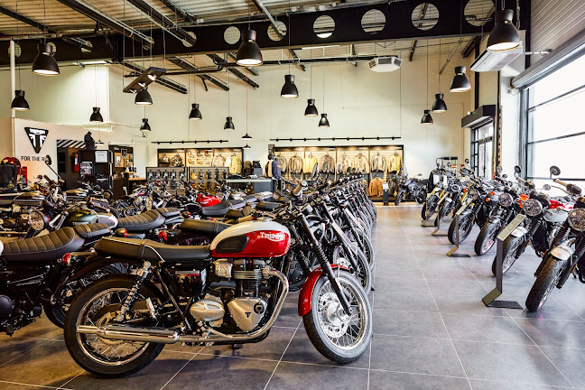 Comentarii opinii despre Triumph Metz