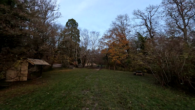 Le Grand Sapin à Seur