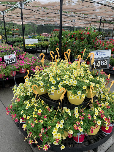 Department Store «Walmart Supercenter», reviews and photos, 350 Robert Smalls Pkwy, Beaufort, SC 29906, USA