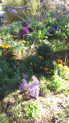 Park «Papago Park», reviews and photos, 625 N Galvin Pkwy, Phoenix, AZ 85008, USA