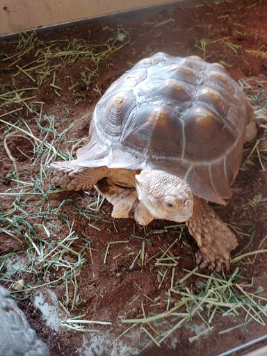 Pet Store «Critters & Co Pet Center», reviews and photos, 11042 WA-525, Clinton, WA 98236, USA