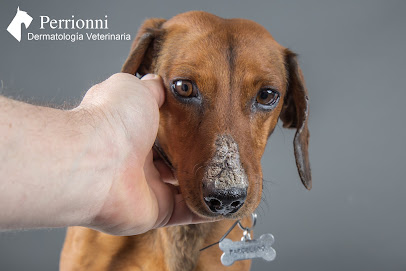 Veterinaria Perrionni - Dermatología Canina