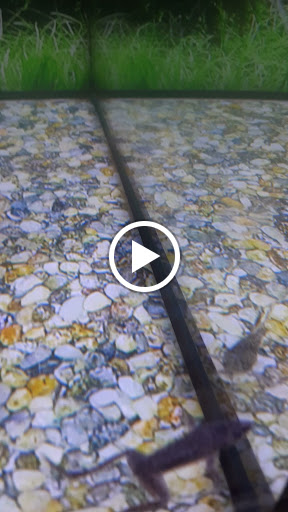 Pet Supply Store «Petco Animal Supplies», reviews and photos, 9078 SE Sunnyside Rd, Clackamas, OR 97015, USA