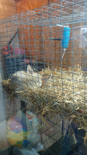 Zoo «Cricket Hollow Zoo», reviews and photos, 1512 210th St, Manchester, IA 52057, USA