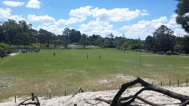 Cancha oficial del Club deTenis Pinar