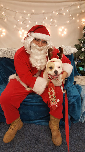 Pet Supply Store «PetSmart», reviews and photos, 1705 N Bechtle Ave, Springfield, OH 45504, USA