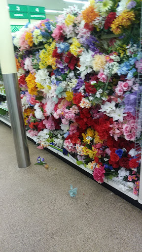 Dollar Store «Dollar Tree», reviews and photos, 1442 FL-436 #1052, Casselberry, FL 32707, USA