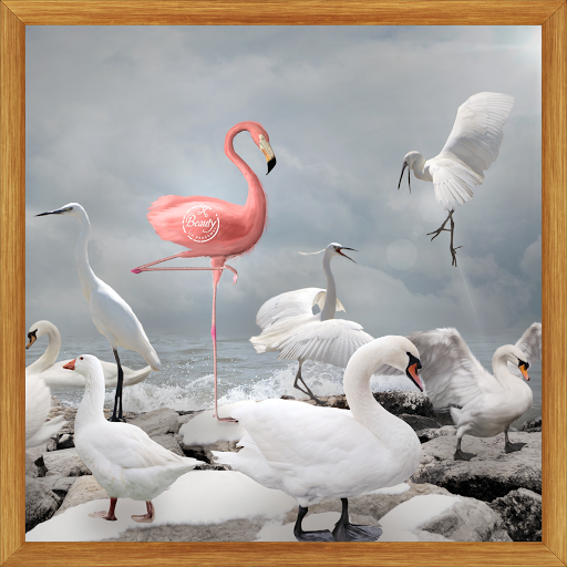 Beauty Salon «Broadway Fabulous Salon», reviews and photos, 310 Monroe St, Dunedin, FL 34698, USA