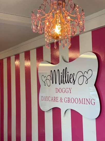 Millie's Doggy Daycare & Grooming