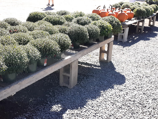 Farm «Langwater Farm», reviews and photos, 209 Washington St, North Easton, MA 02356, USA