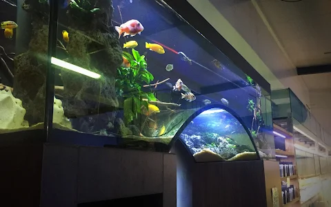 aquarium Neon image