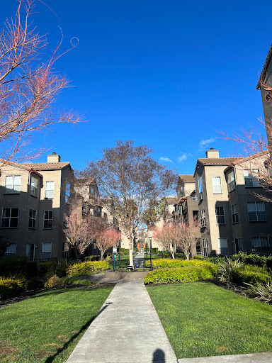 Avalon on the Alameda image