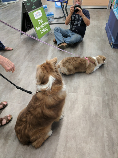 Pet Store «PetSmart», reviews and photos, 17150 Ventura Blvd, Encino, CA 91316, USA