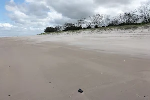 Pottsville Dog Beach image