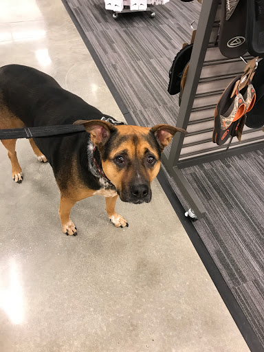 Department Store «Nordstrom Rack The Shops at Midtown Miami», reviews and photos, 3201 N Miami Ave, Miami, FL 33127, USA