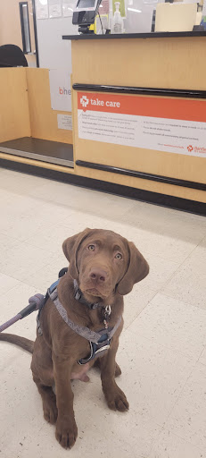 Pet Supply Store «PetSmart», reviews and photos, 155 E Rte 59, Nanuet, NY 10954, USA