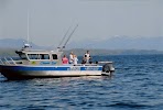 Chasin Tail Charters