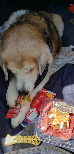 Pet Supply Store «Pet Food Warehouse», reviews and photos, 2500 Williston Rd, South Burlington, VT 05403, USA