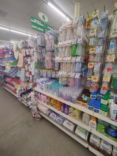 Dollar Store «Dollar Tree», reviews and photos, 8491 Grand River Ave, Brighton, MI 48116, USA