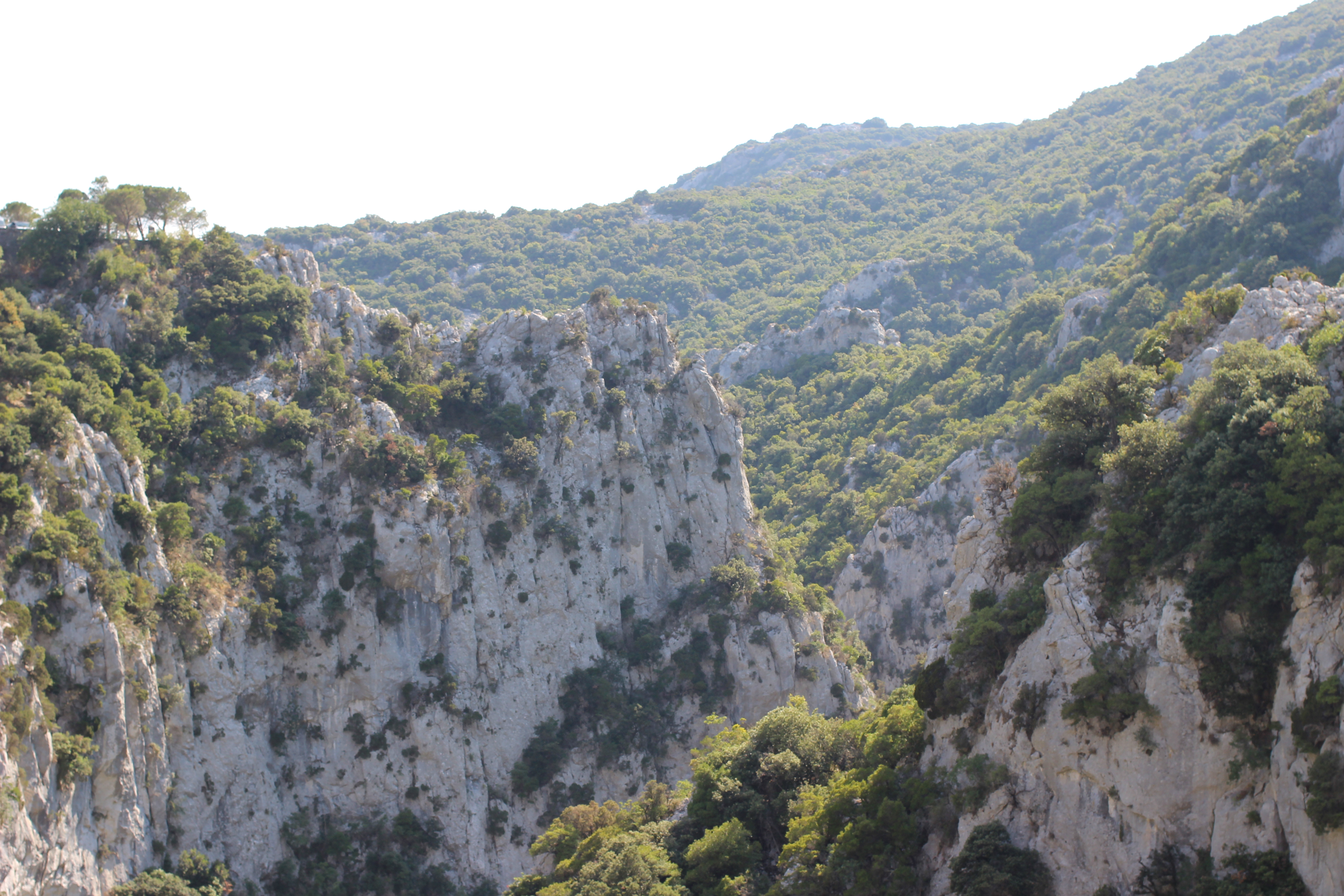 Photo n° 13 de l'avis de Clovis.a fait le 23/07/2022 à 10:46