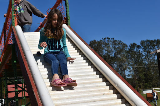 Tourist Attraction «Cajun Country Corn», reviews and photos, 40833 LA-16, Amite City, LA 70422, USA