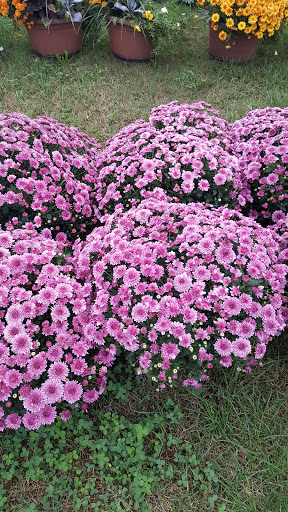 Tourist Attraction «Middleton Farm», reviews and photos, 13250 Cedar Hill Pl, Waldorf, MD 20601, USA