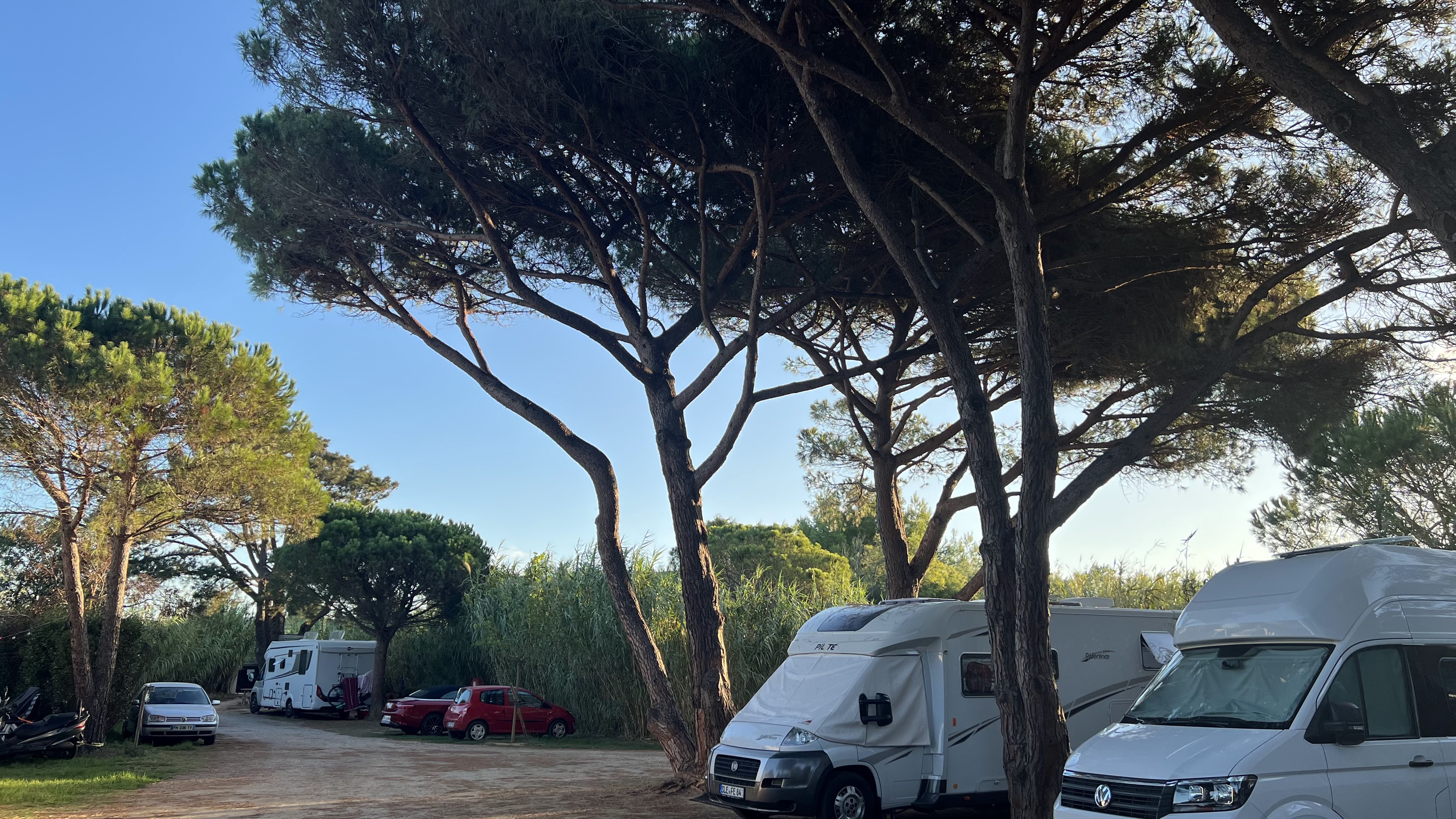 Photo n° 2 de l'avis de Leas.i fait le 17/10/2023 à 18:39