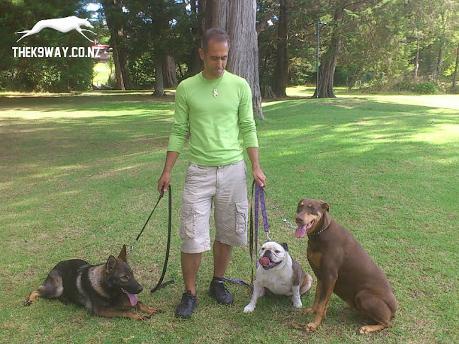 Reviews of TheK9Way in Wairoa - Dog trainer