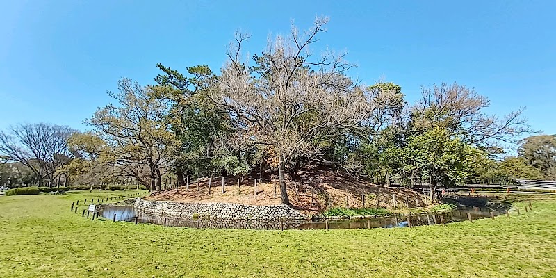 竜佐山古墳(仁徳天皇陵陪塚ろ号)