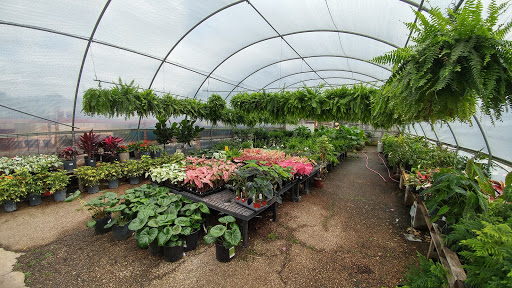 Greenhouse Waco