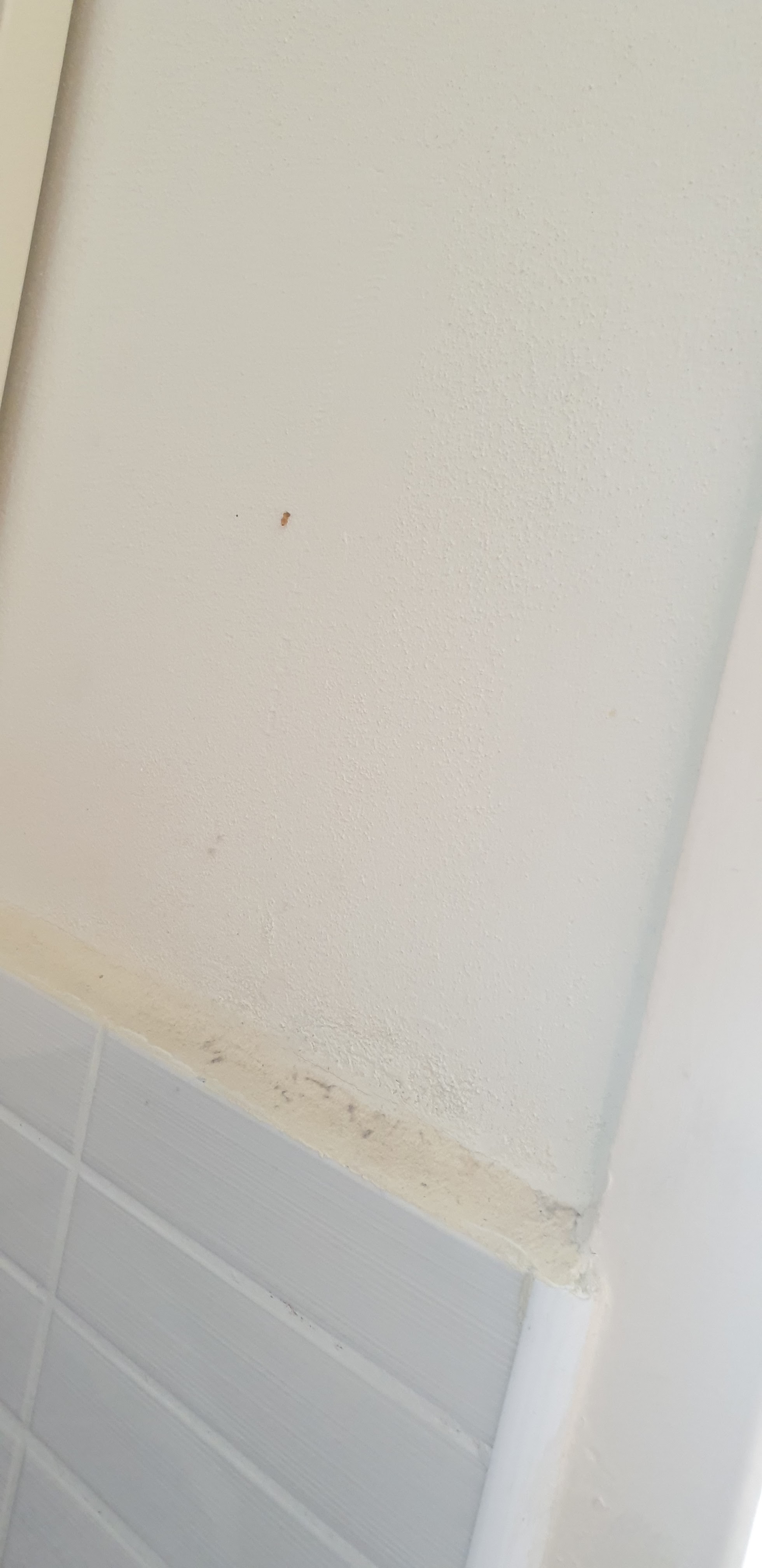 Photo n° 10 de l'avis de Dansquel.o fait le 28/09/2019 à 09:32