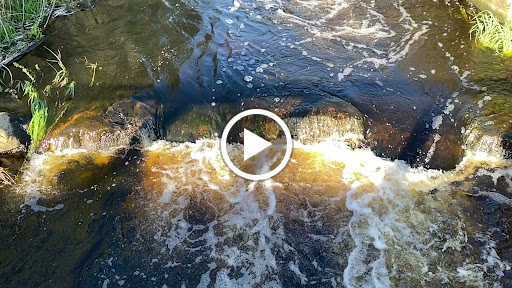 Park «Acushnet Sawmill», reviews and photos, 32 Mill Rd, Acushnet, MA 02743, USA