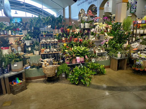 Grocery Store «Market Street», reviews and photos, 700 Denton Tap Rd, Coppell, TX 75019, USA