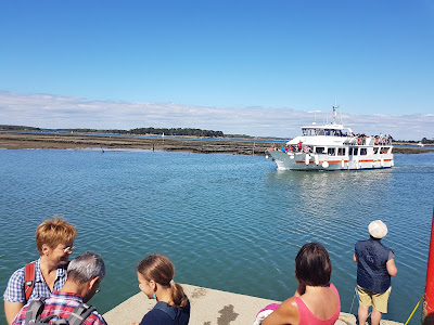 VEDETTES L'ANGELUS CROISIERES TRANSPORT MARITIME à Locmariaquer